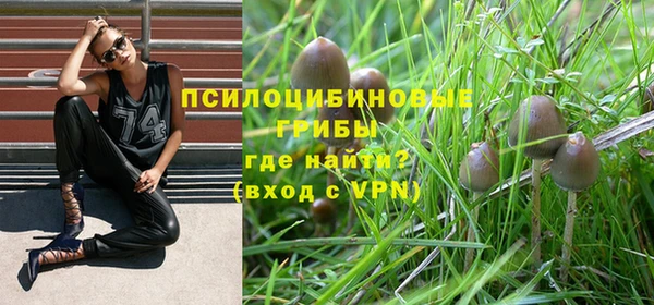 шишки Алексин