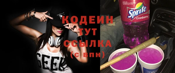дмт Абаза