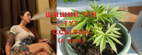 дмт Абаза