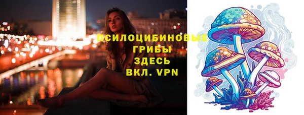 дмт Абаза