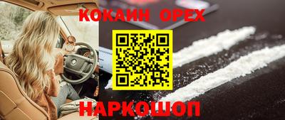 стаф Кинель