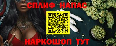 стаф Кинель