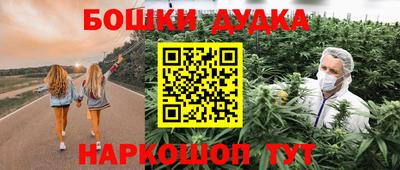 стаф Кинель
