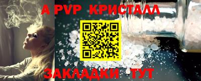 стаф Кинель