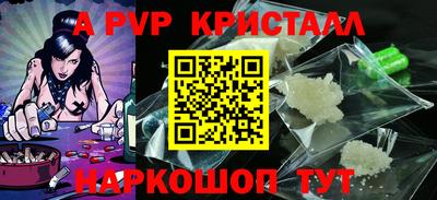 стаф Кинель